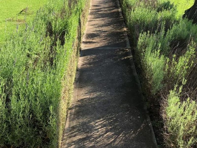 Farm For Sale in Volksrust Central - Photo 3