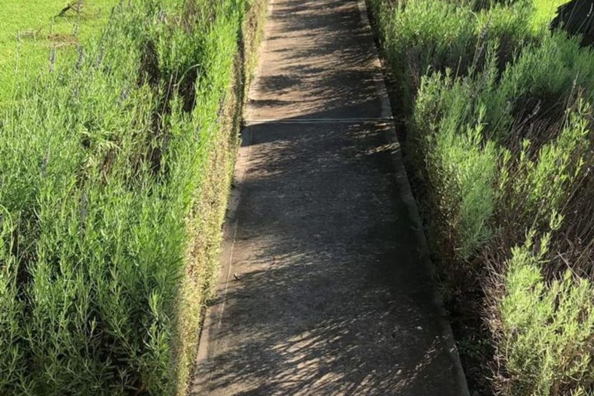 Farm For Sale in Volksrust Central - Photo 3