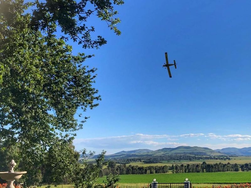 Farm For Sale in Volksrust Central - Photo 5