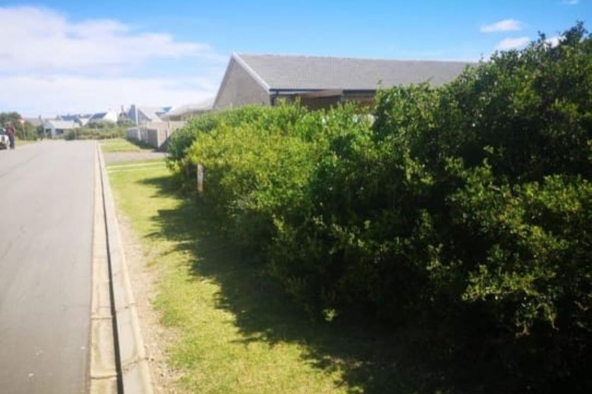 Vacant Land Residential For Sale in Boggomsbaai - Photo 5