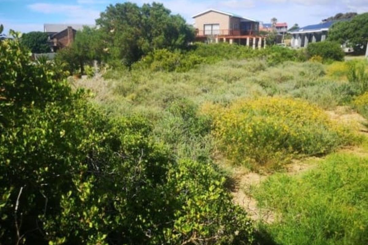 Vacant Land Residential For Sale in Boggomsbaai - Photo 4