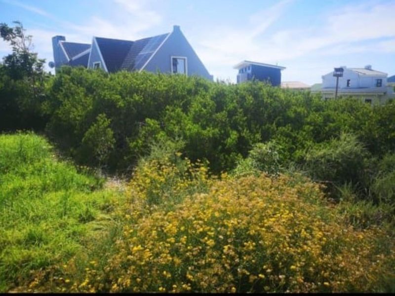 Vacant Land Residential For Sale in Boggomsbaai - Photo 6