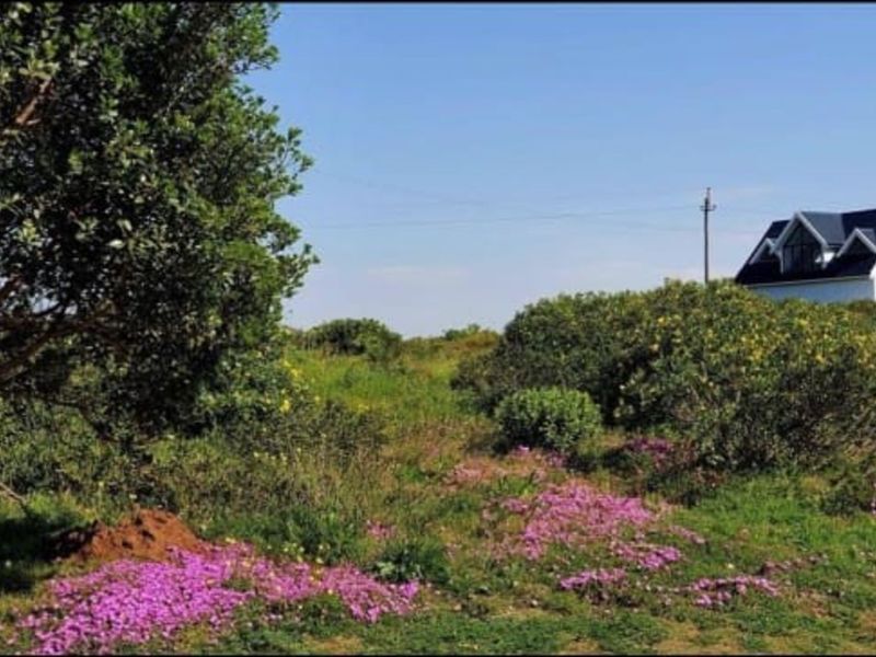 Vacant Land Residential For Sale in Boggomsbaai - Photo 3