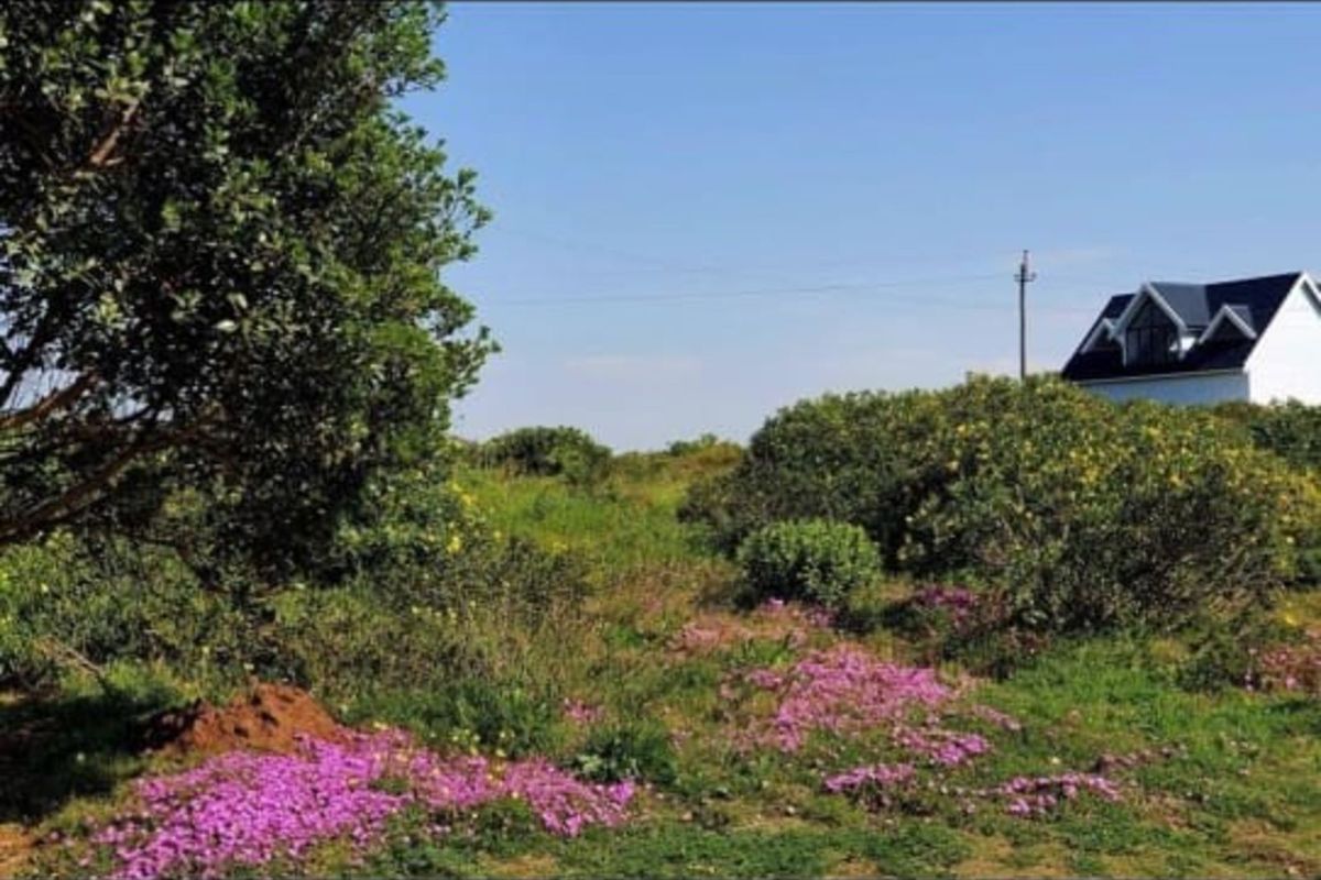 Vacant Land Residential For Sale in Boggomsbaai - Photo 3