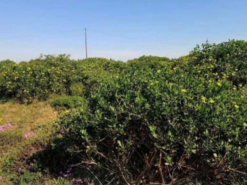 Vacant Land Residential For Sale in Boggomsbaai - Photo 8