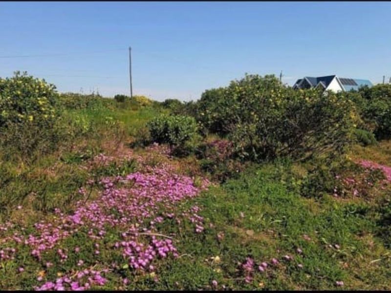 Vacant Land Residential For Sale in Boggomsbaai - Photo 6