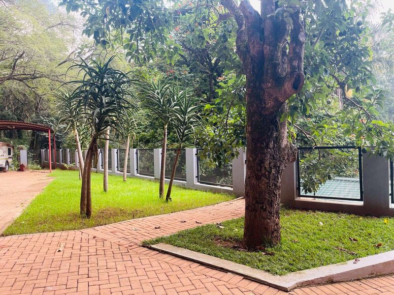 Farm For Sale in Tzaneen Rural - Photo 4