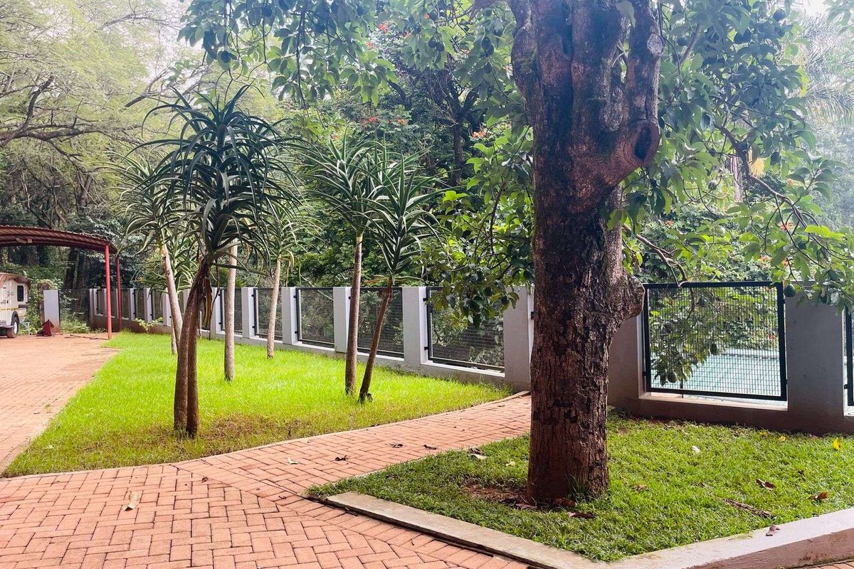 Farm For Sale in Tzaneen Rural - Photo 4