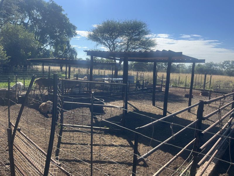 Farm For Sale in Mookgopong Rural - Photo 10