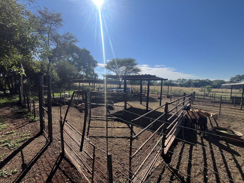 Farm For Sale in Mookgopong Rural - Photo 9