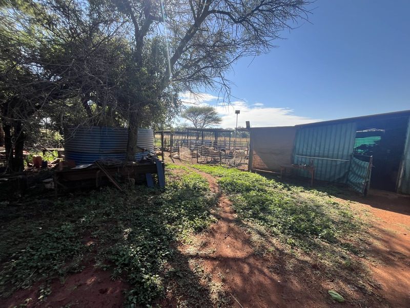 Farm For Sale in Mookgopong Rural - Photo 8
