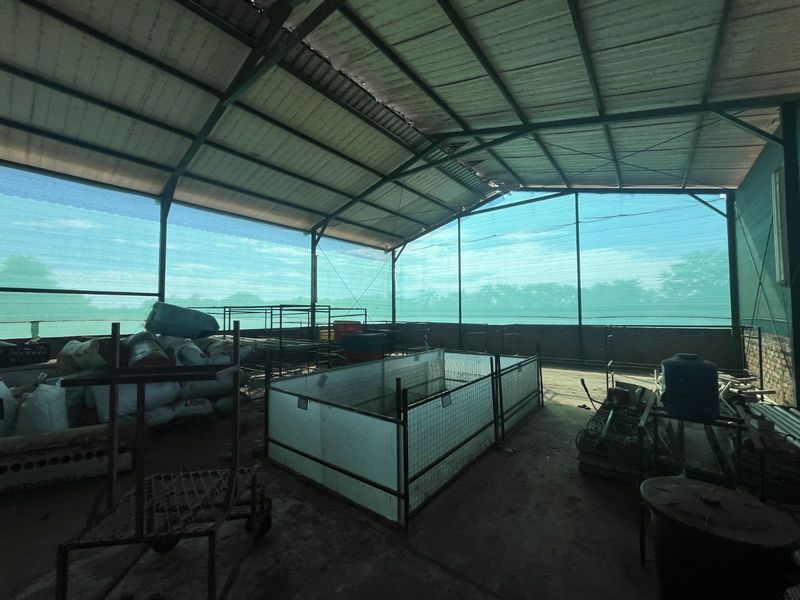 Farm For Sale in Mookgopong Rural - Photo 4