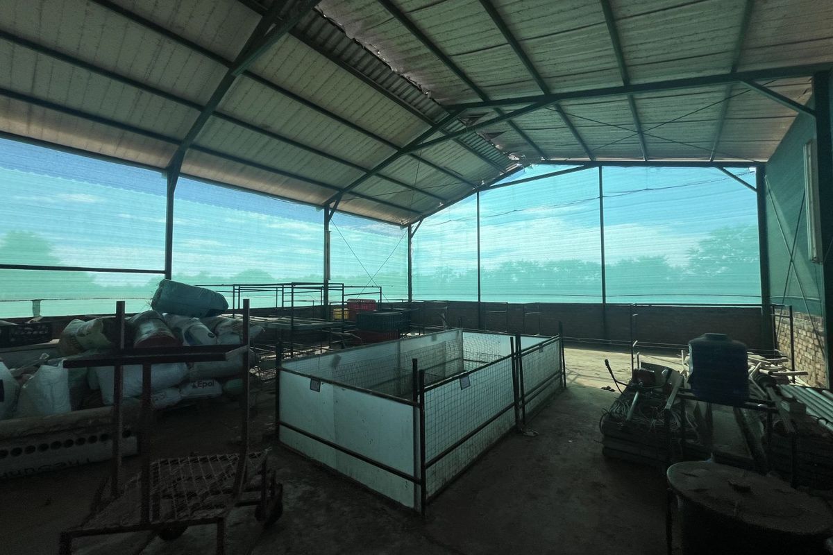 Farm For Sale in Mookgopong Rural - Photo 4