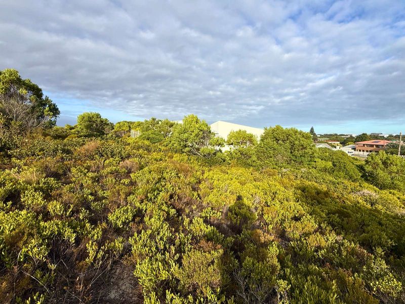 Vacant Land Residential For Sale in Pearly Beach - Photo 8