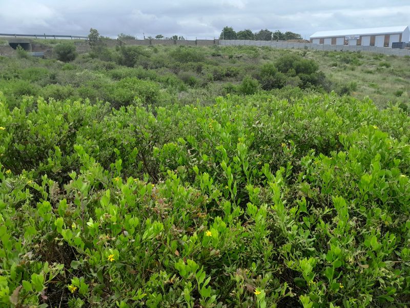 Industrial For Sale in N2 Industrial Park - Photo 6