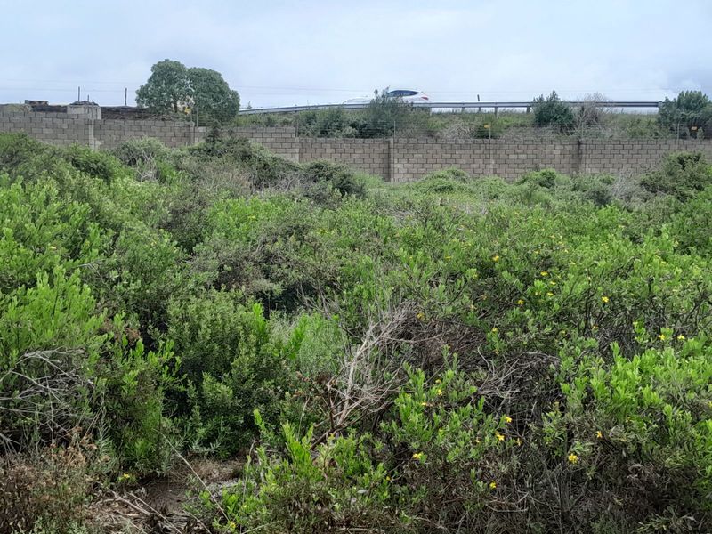 Industrial For Sale in N2 Industrial Park - Photo 3