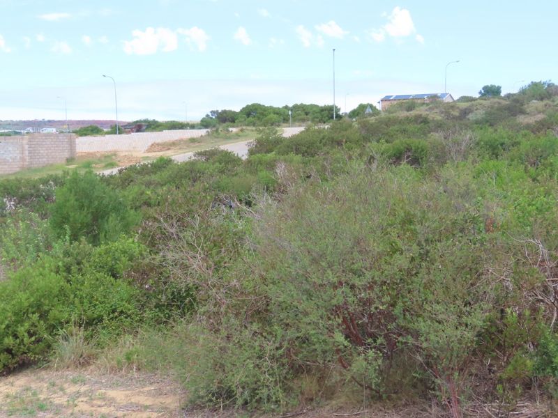 Industrial For Sale in N2 Industrial Park - Photo 9