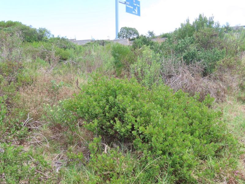 Industrial For Sale in N2 Industrial Park - Photo 7