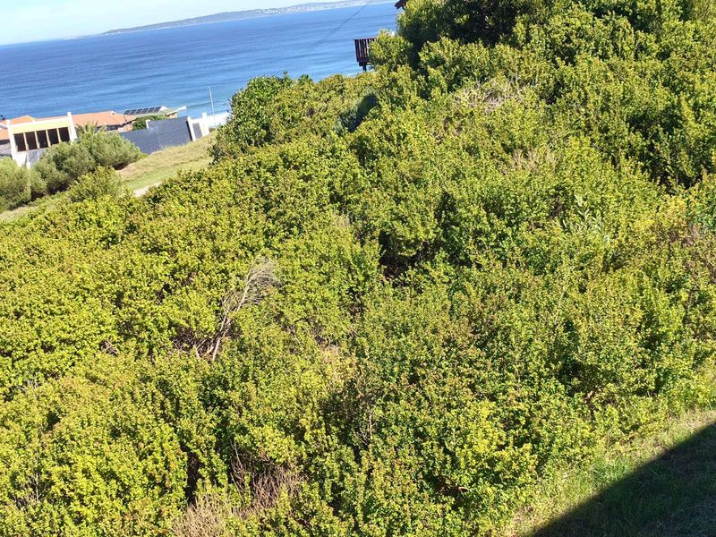 Vacant Land Residential For Sale in Dana Bay - Photo 5