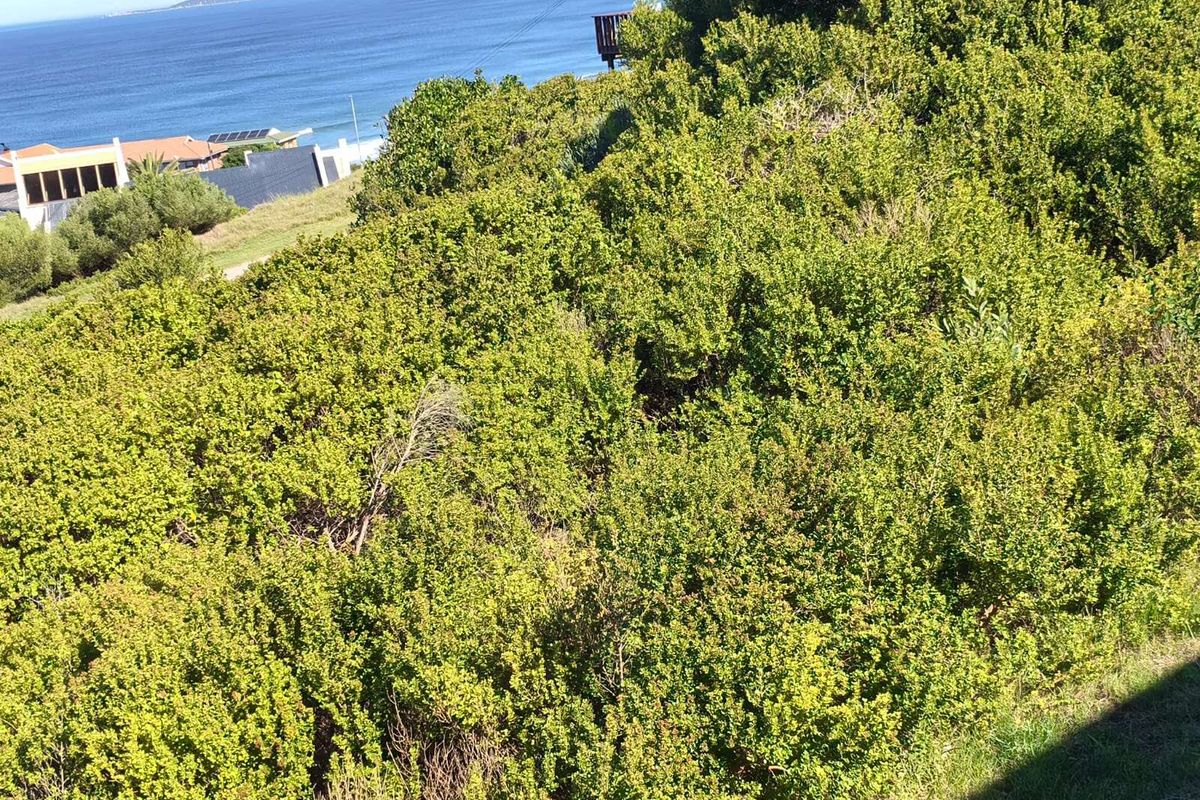 Vacant Land Residential For Sale in Dana Bay - Photo 5