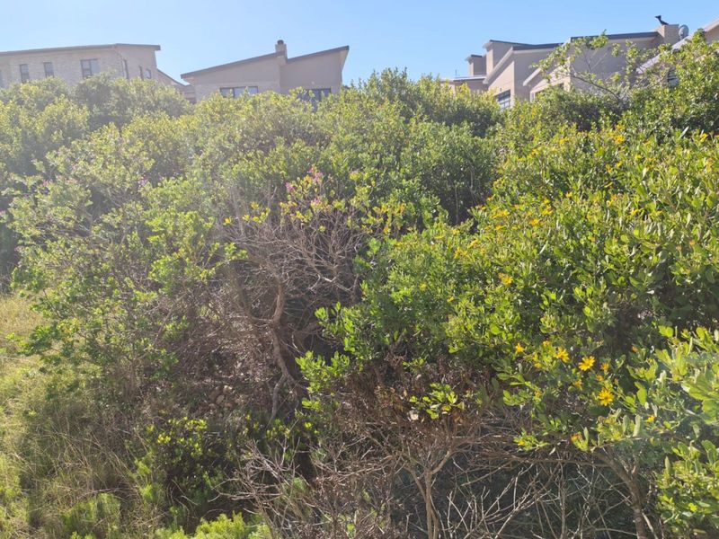 Vacant Land Residential For Sale in Moquini Coastal Estate - Photo 2