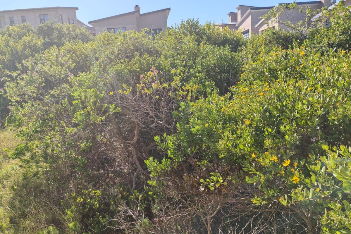 Vacant Land Residential For Sale in Moquini Coastal Estate - Photo 2