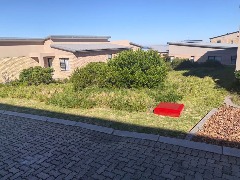 Vacant Land Residential For Sale in Blue Ridge - Photo 9