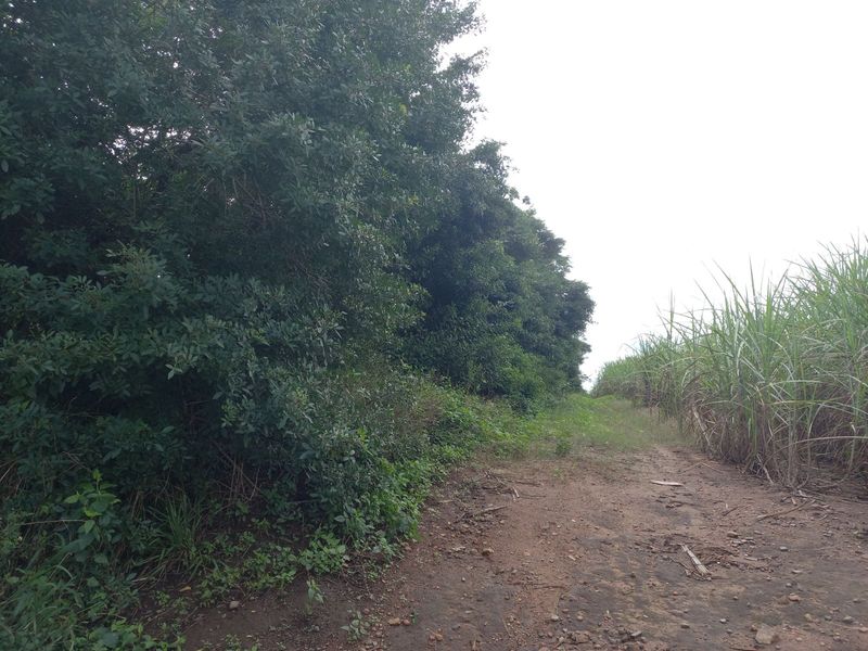 Farm For Sale in Ballito Rural - Photo 2