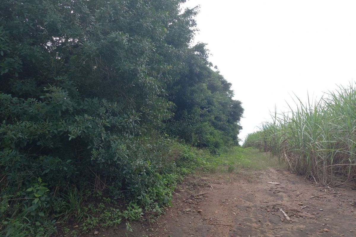 Farm For Sale in Ballito Rural - Photo 2