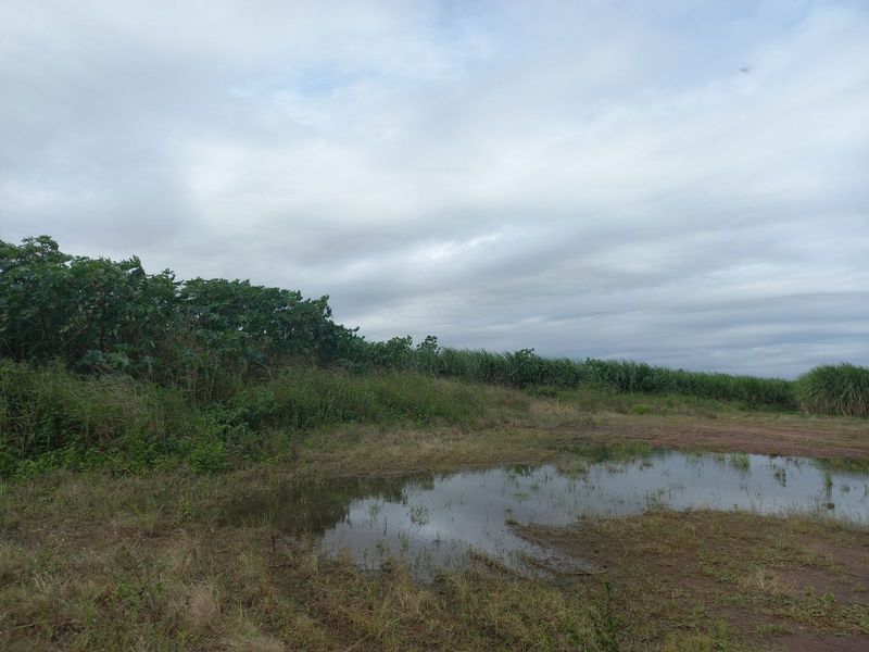 Farm For Sale in Ballito Rural - Photo 4