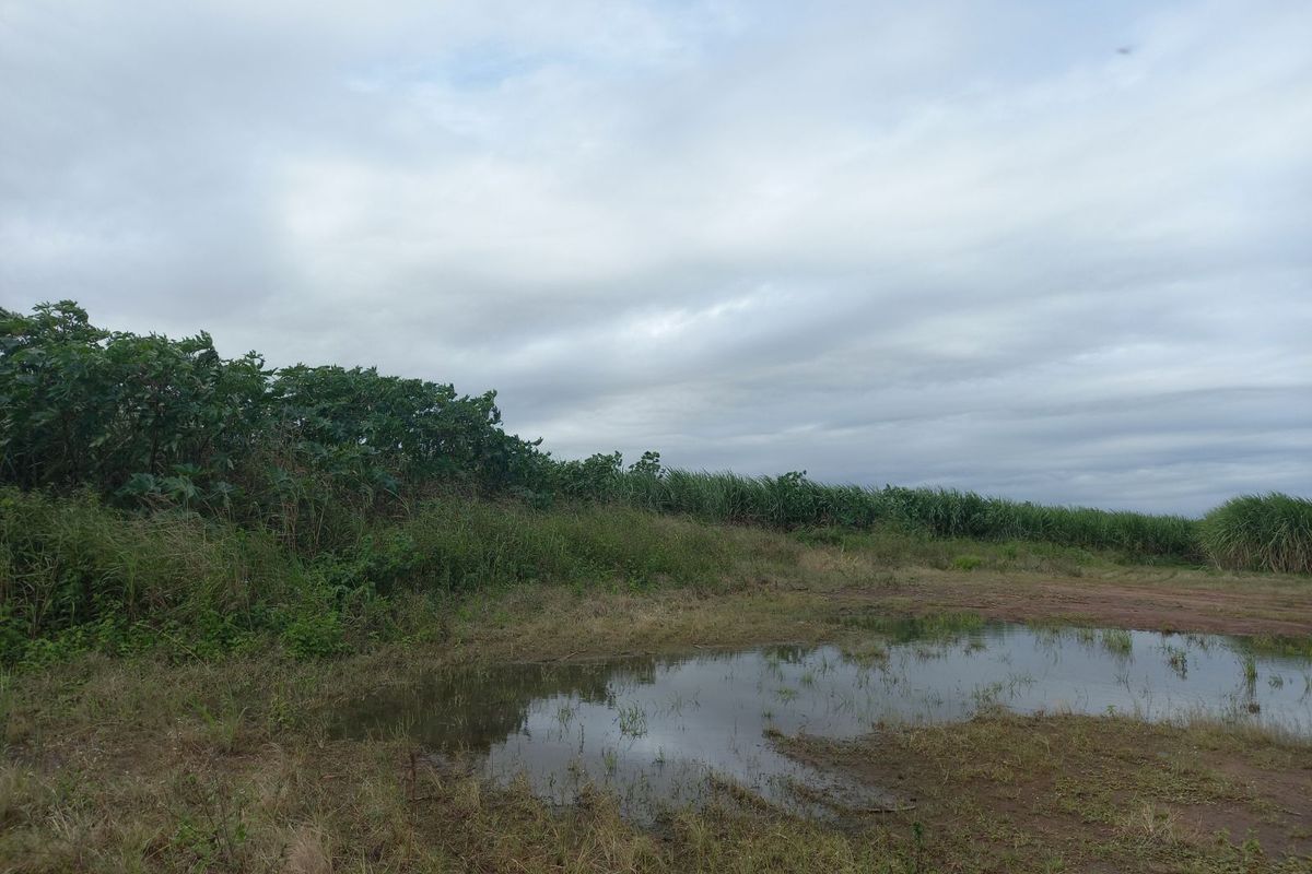 Farm For Sale in Ballito Rural - Photo 4