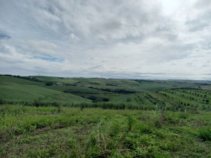 Farm For Sale in Ballito Rural - Photo 5