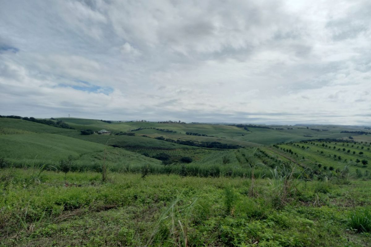 Farm For Sale in Ballito Rural - Photo 5