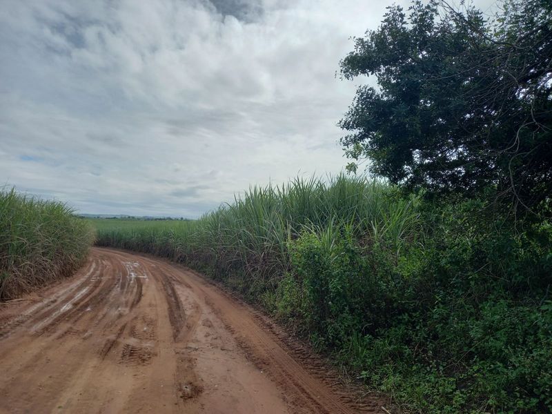 Farm For Sale in Ballito Rural - Photo 3