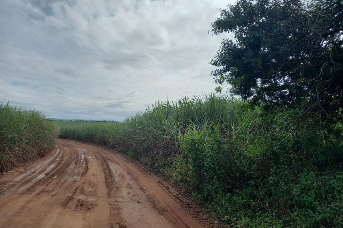 Farm For Sale in Ballito Rural - Photo 3