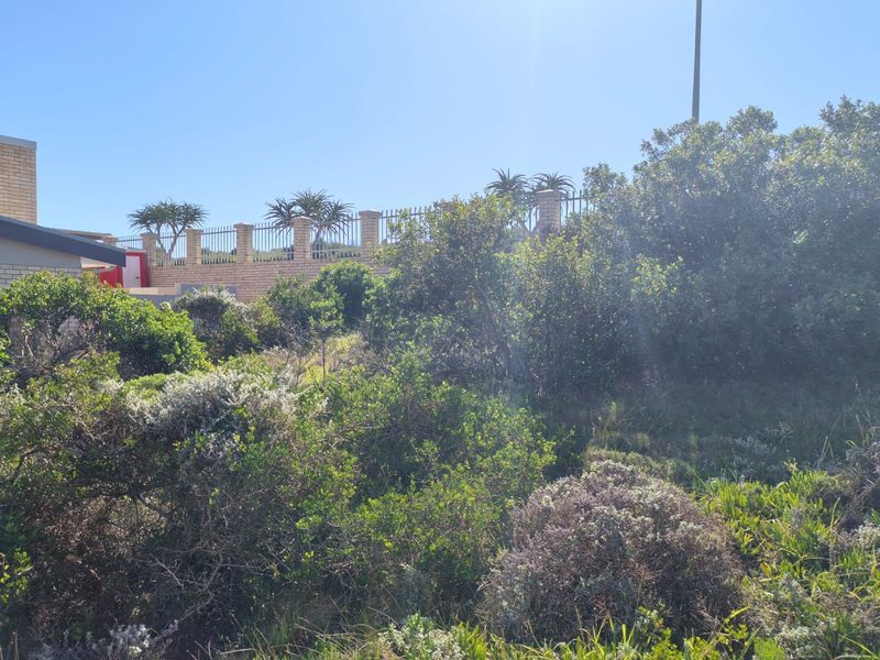 Vacant Land Residential For Sale in Blue Ridge - Photo 9