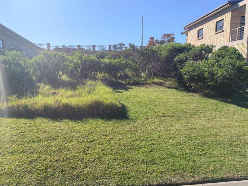 Vacant Land Residential For Sale in Blue Ridge - Photo 3