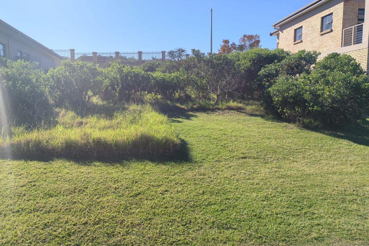 Vacant Land Residential For Sale in Blue Ridge - Photo 3