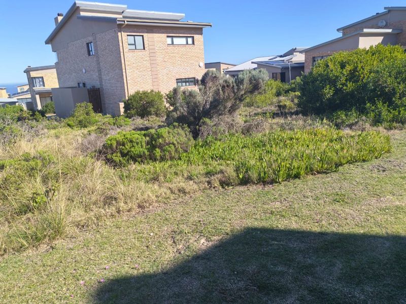 Vacant Land Residential For Sale in Blue Ridge - Photo 9