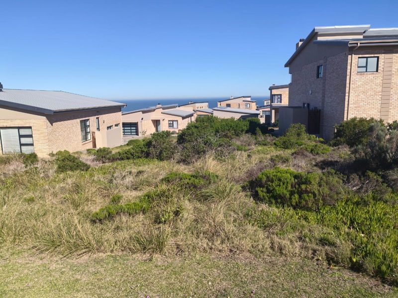 Vacant Land Residential For Sale in Blue Ridge - Photo 7