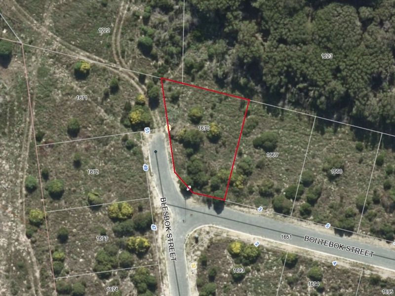 Vacant Land Residential For Sale in Kleinbaai - Photo 6