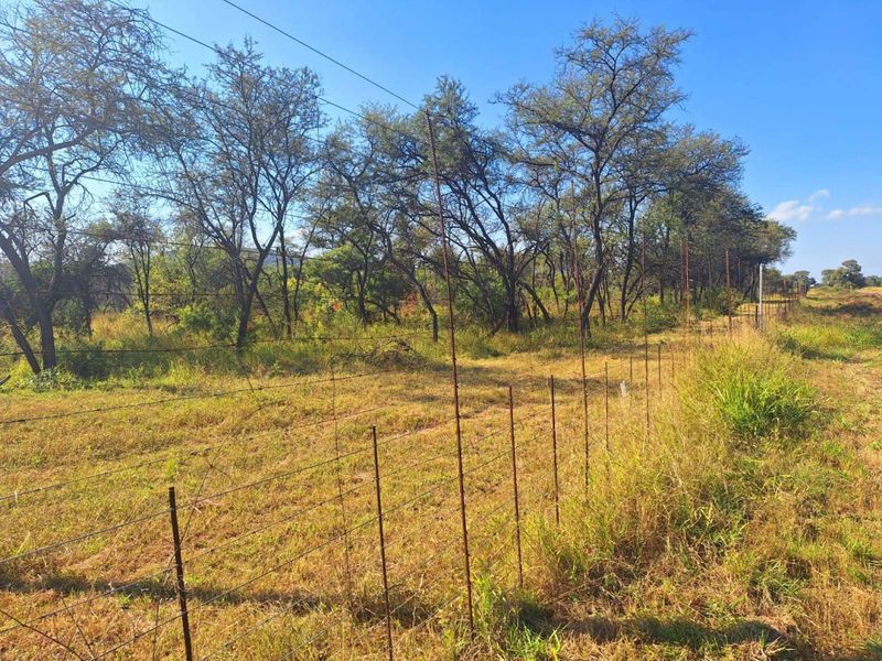 Farm For Sale in Buffelsdoorns AH - Photo 2