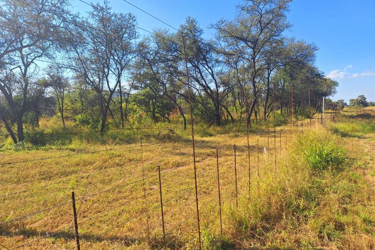 Farm For Sale in Buffelsdoorns AH - Photo 2