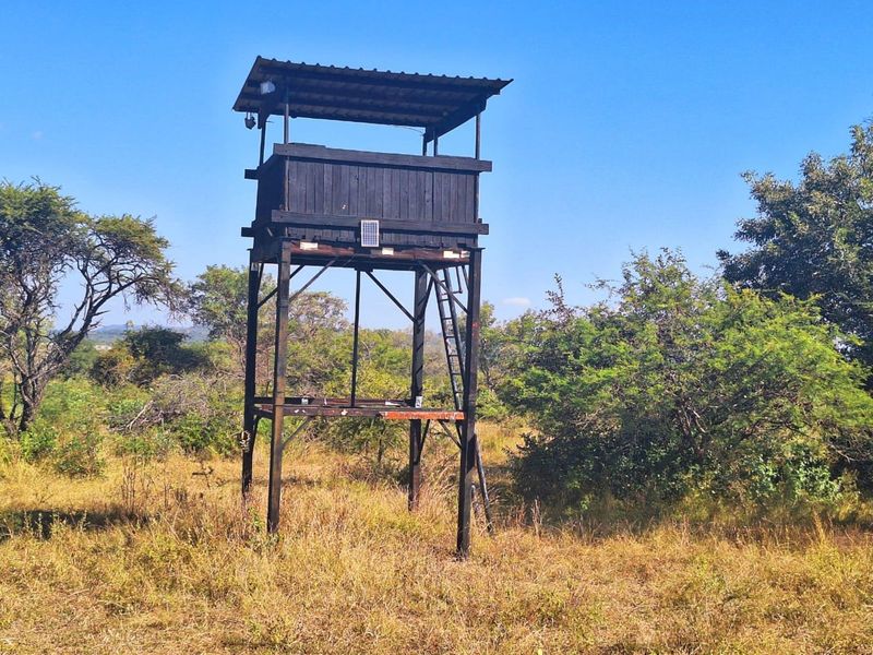 Farm For Sale in Buffelsdoorns AH - Photo 3