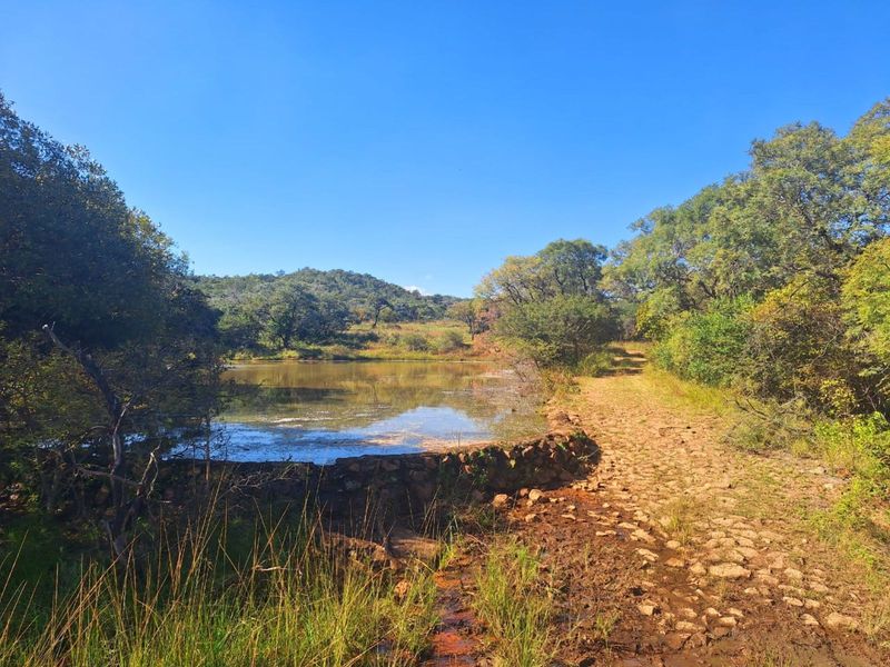 Farm For Sale in Buffelsdoorns AH - Photo 4