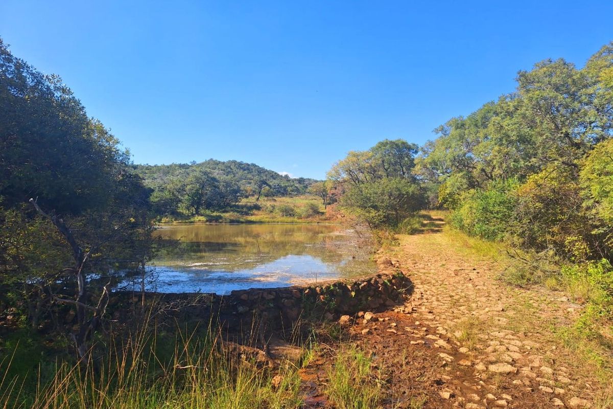 Farm For Sale in Buffelsdoorns AH - Photo 4