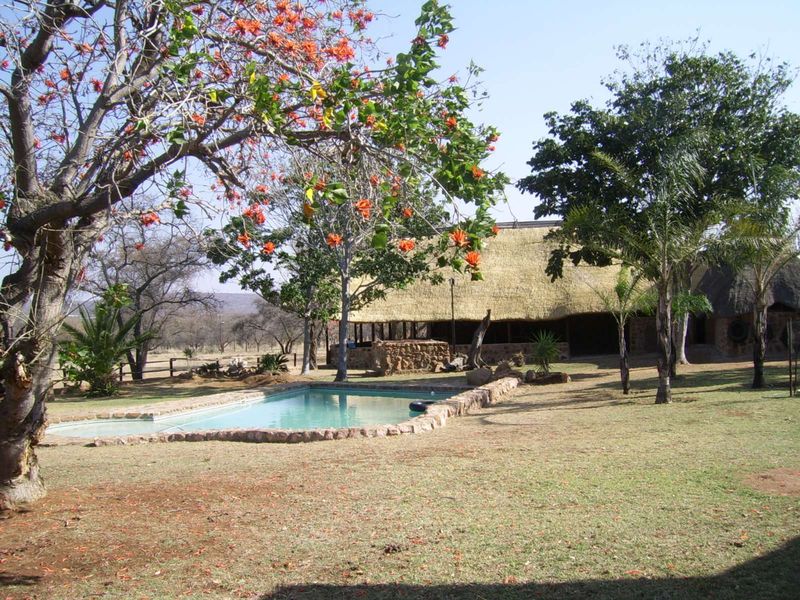 Farm For Sale in Buffelsdoorns AH - Photo 5