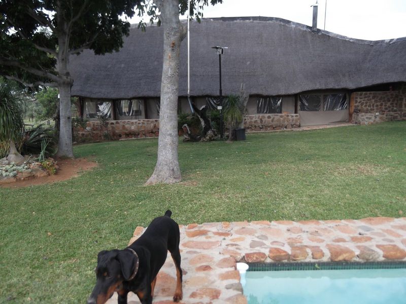 Farm For Sale in Buffelsdoorns AH - Photo 9