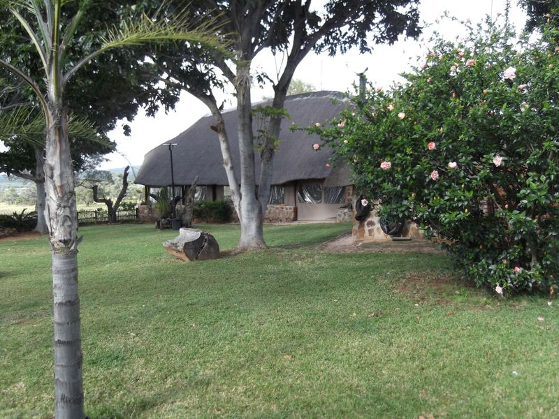 Farm For Sale in Buffelsdoorns AH - Photo 7