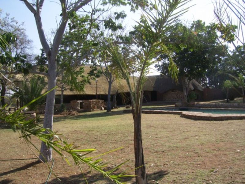 Farm For Sale in Buffelsdoorns AH - Photo 6